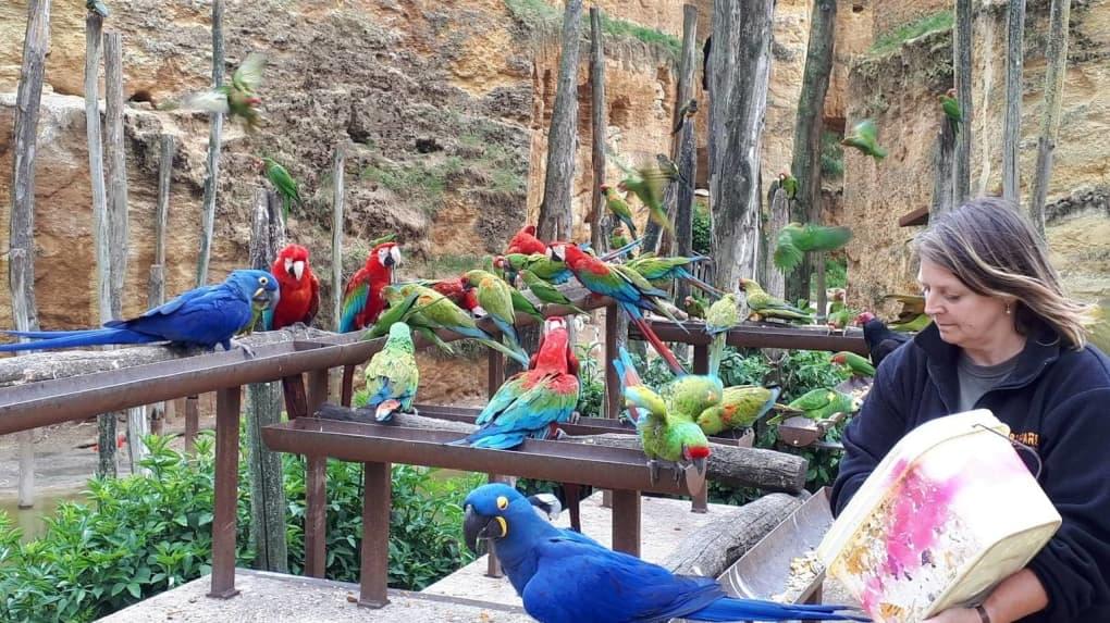Spend some time at the bird aviary