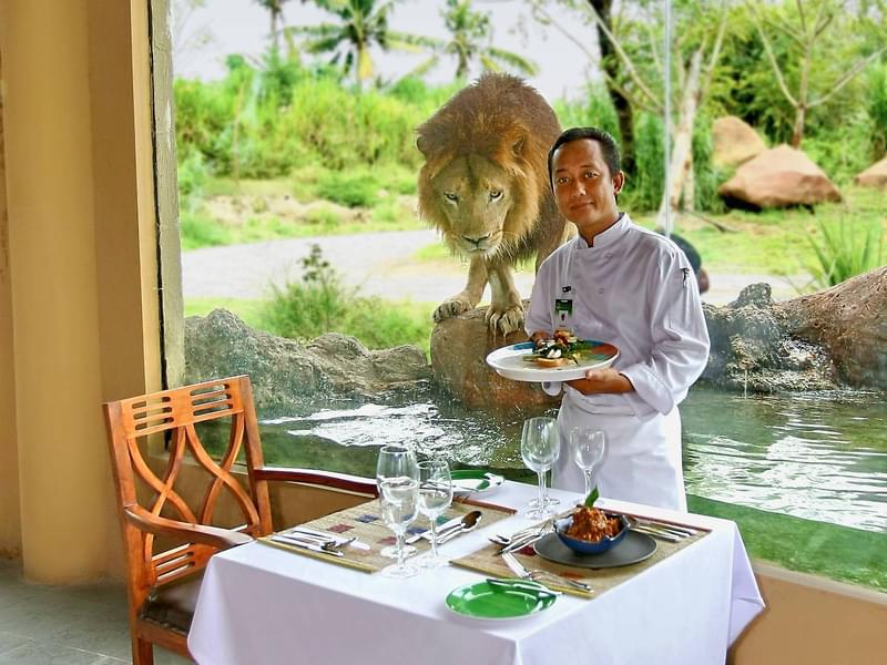 Breakfast with Lions in Bali Safari and Marine Park