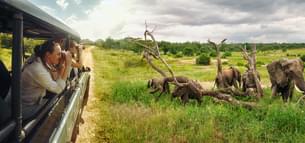 Pn83ct2gpsumrs9u4qlkpcajt7sw shutterstock 1735329926