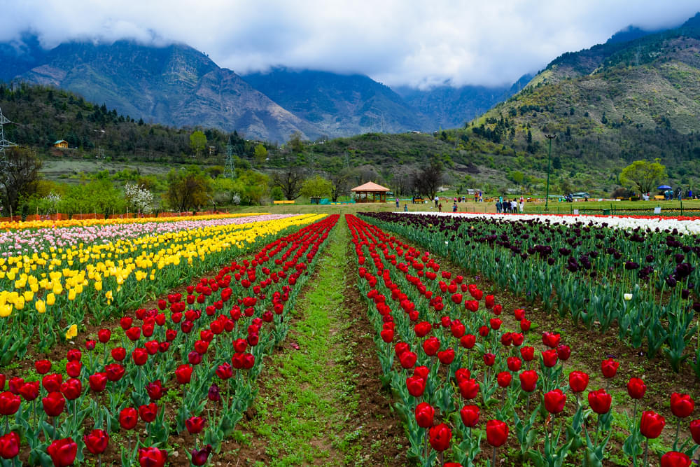 Kashmir Tour Packages | Upto 40% Off