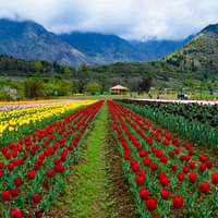 magical-kashmir-tour