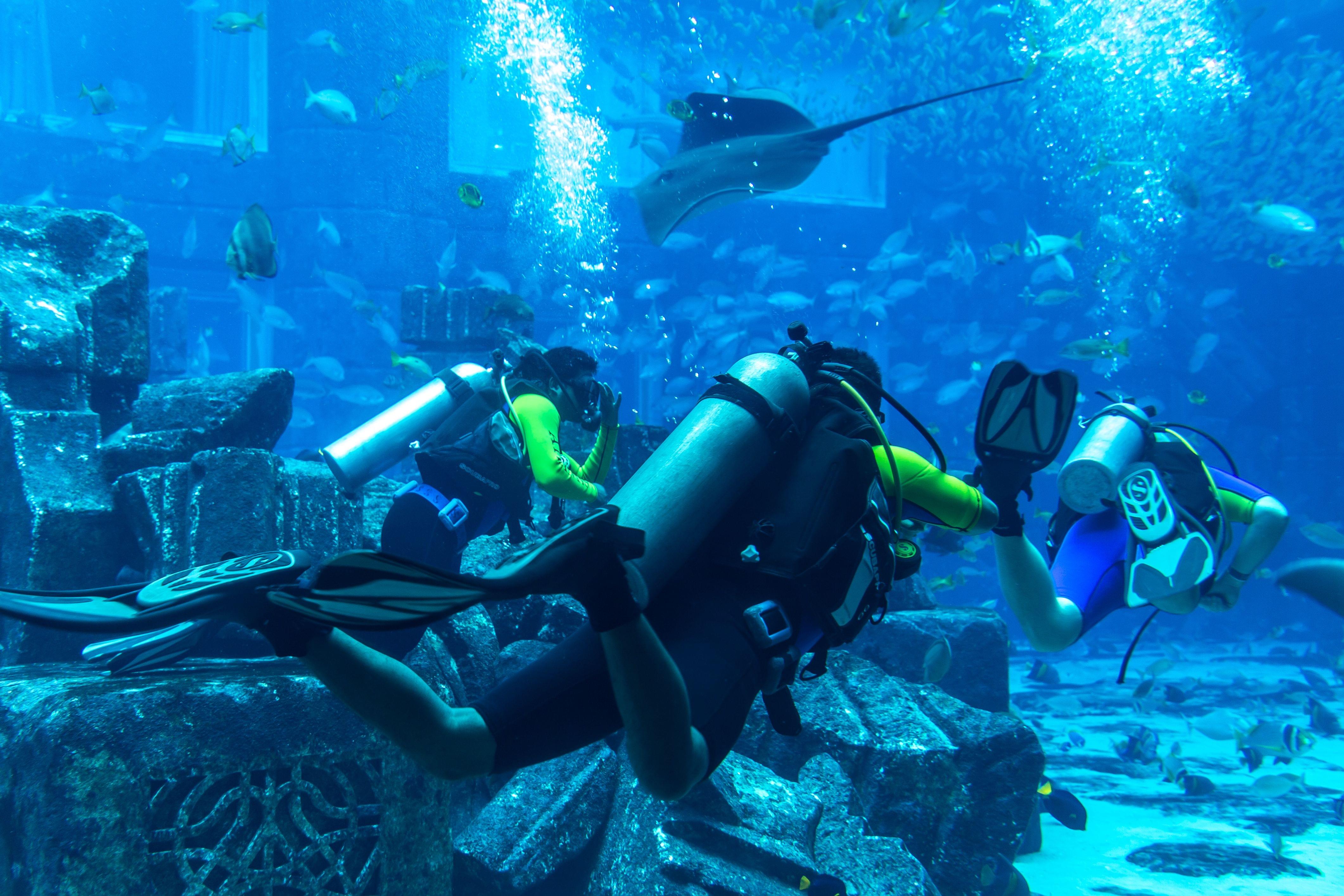 Scuba Diving in Dubai Mall