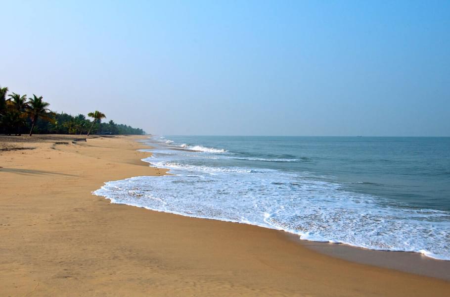 Alleppey Sightseeing Tour Image