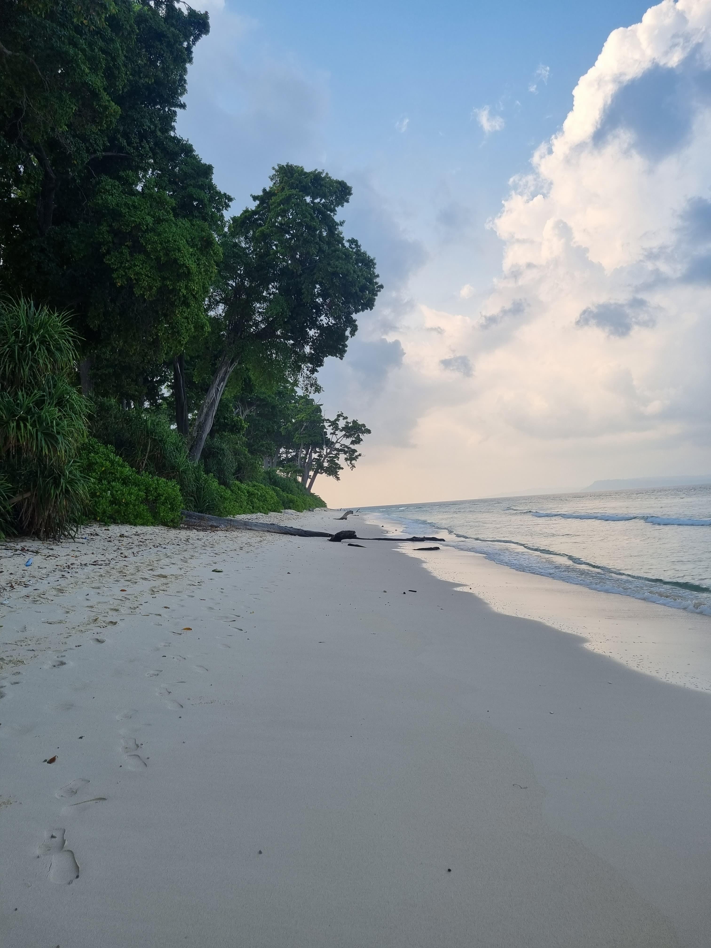 Neil Island, Havelock Island: How To Reach, Best Time & Tips