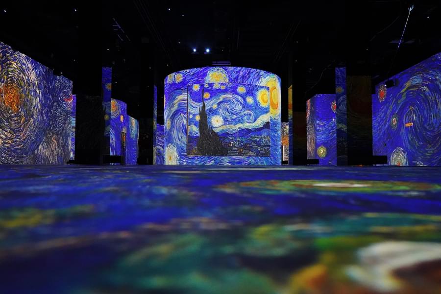 Observe the different visions of the exhibitions