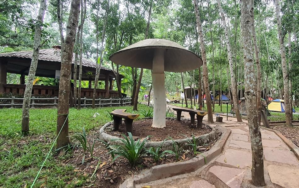 Dew Drops Jungle Resort Image