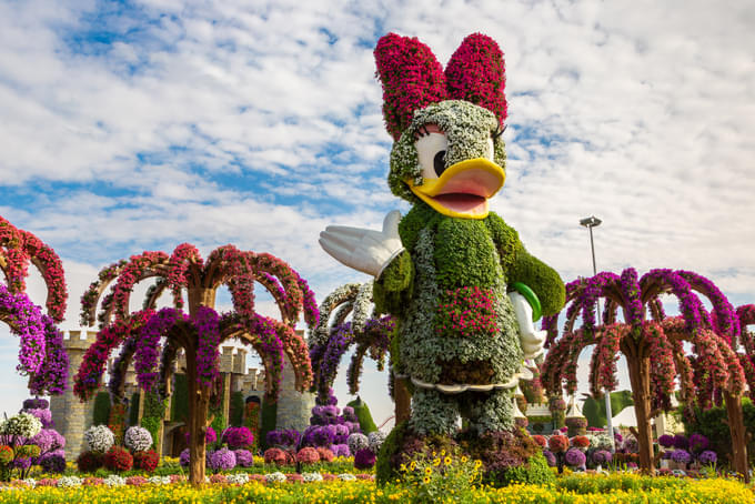 Miracle Garden Dubai Images