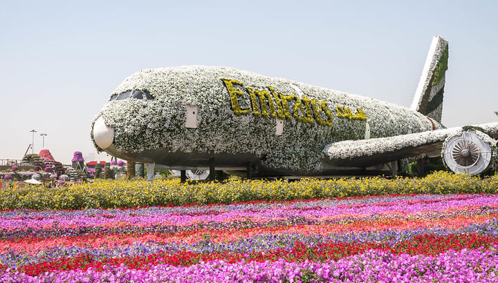 Dubai Miracle Garden Emirates A380