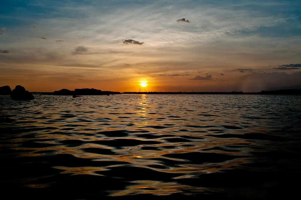 Osman Sagar