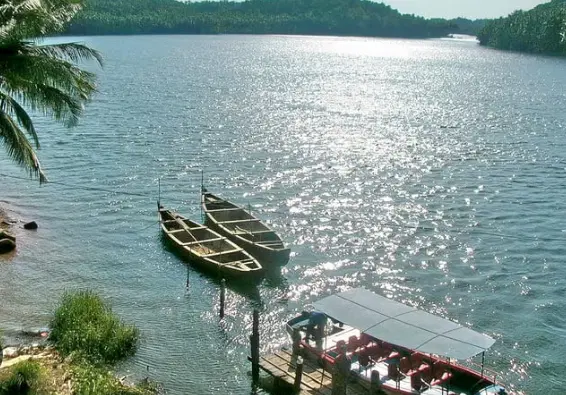 Unwind at the river