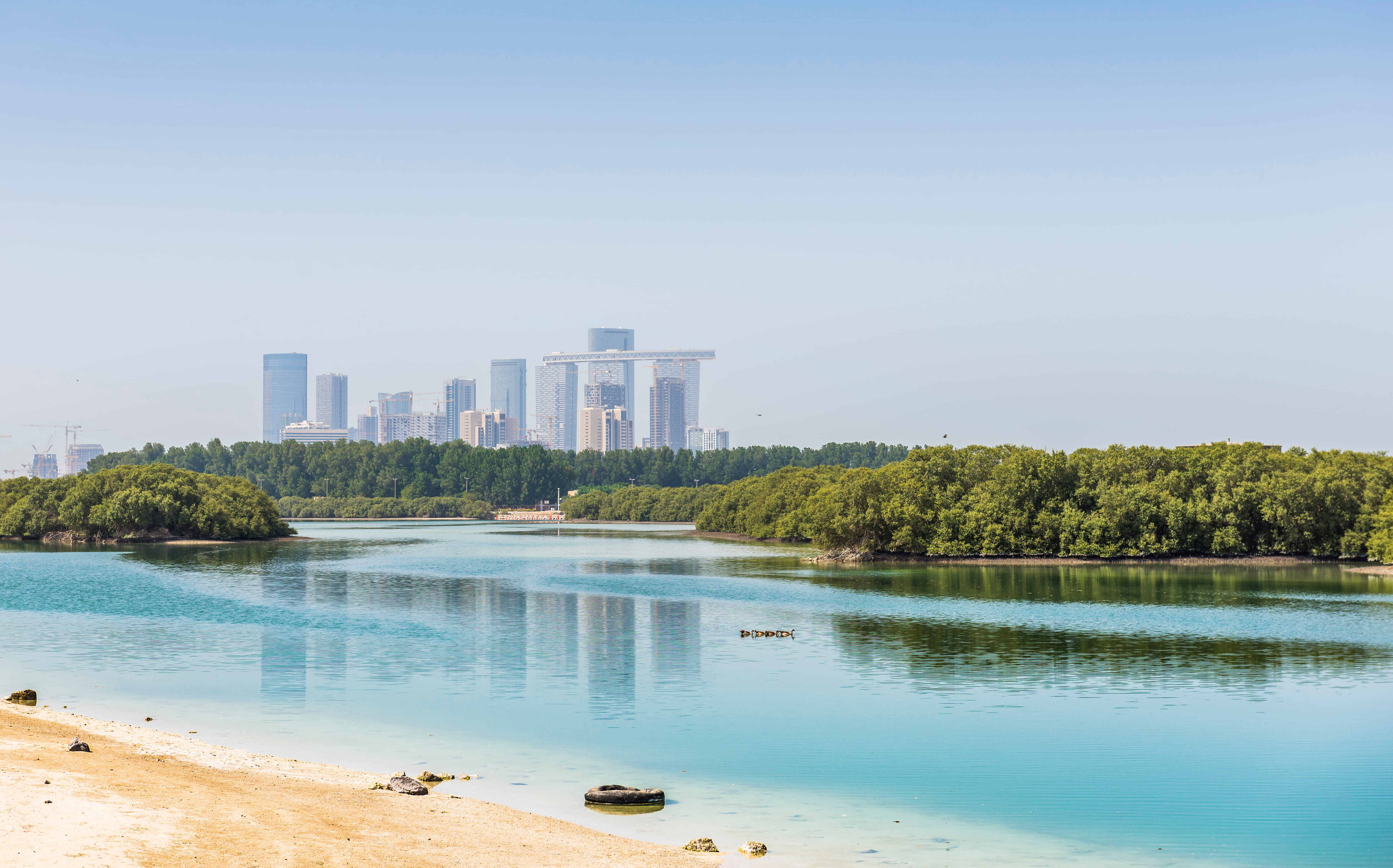 Mangrove National Park, Abu Dhabi: How To Reach, Best Time & Tips