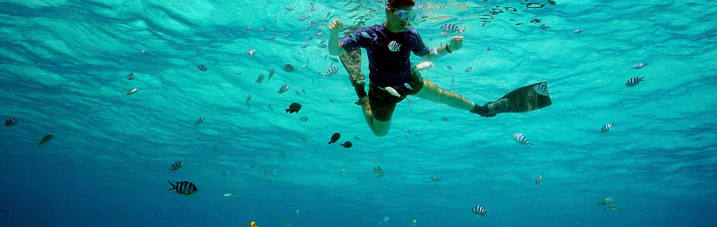 Snorkeling in Indonesia