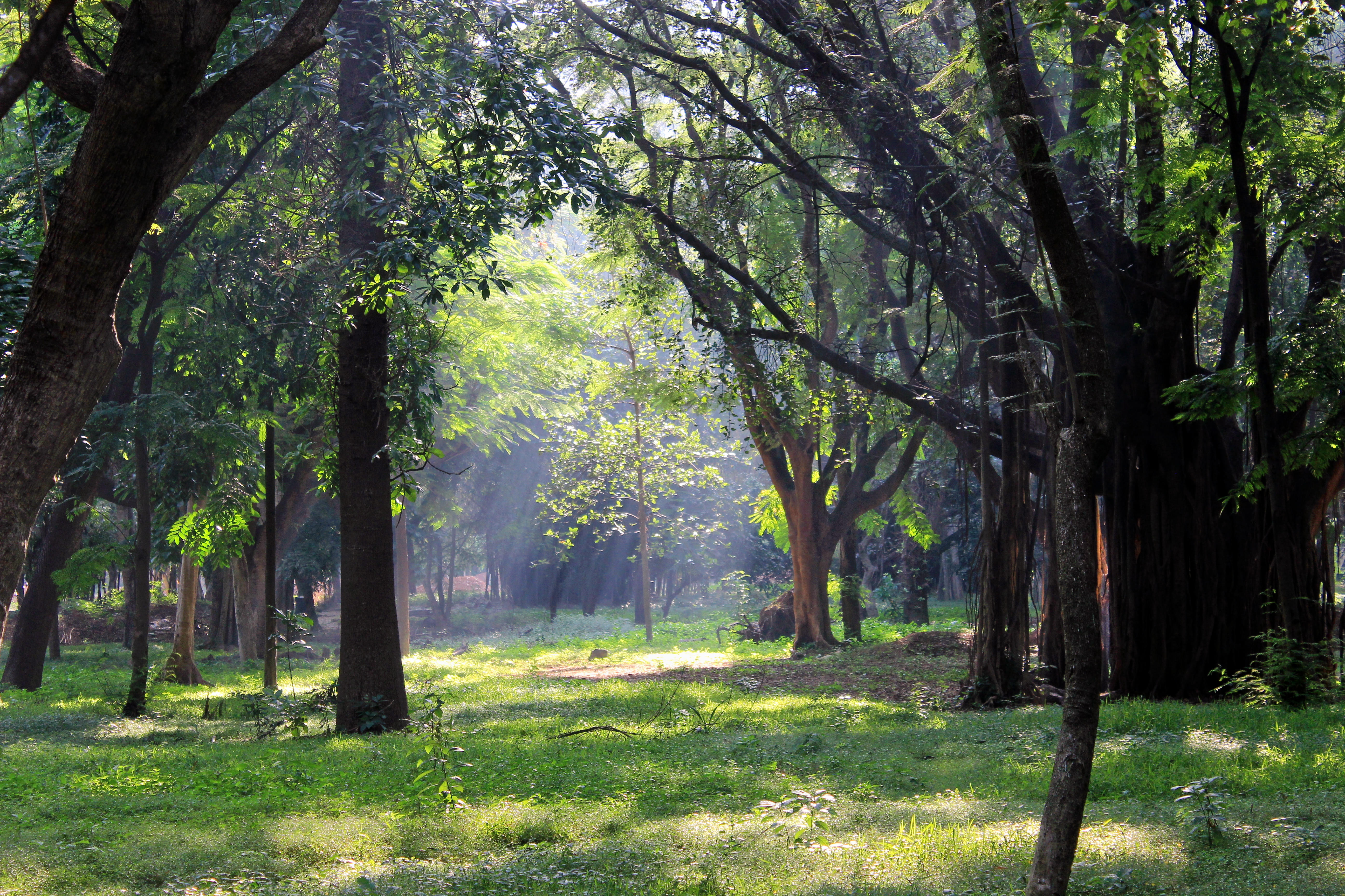 Visit Cubbon Park, one of the most beautiful parks in India