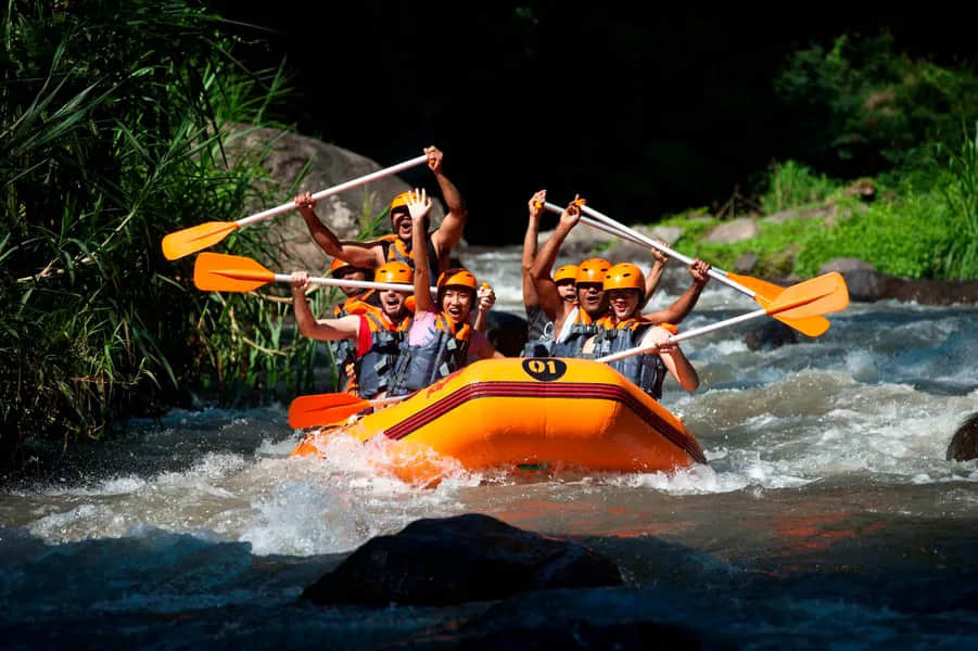 Whitewater Rafting