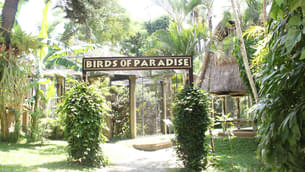 Bali Bird Park
