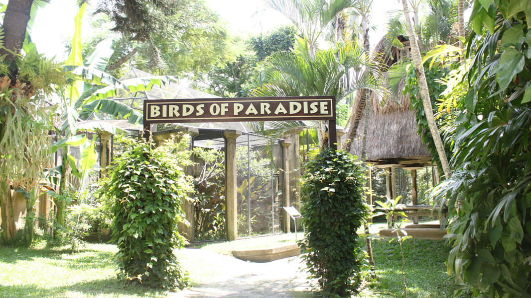Entrance Gate To Bali Bird