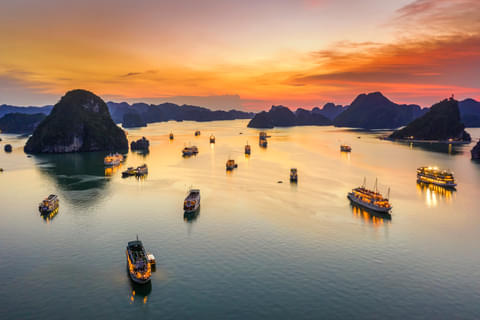 Activity & SightSeeing Image