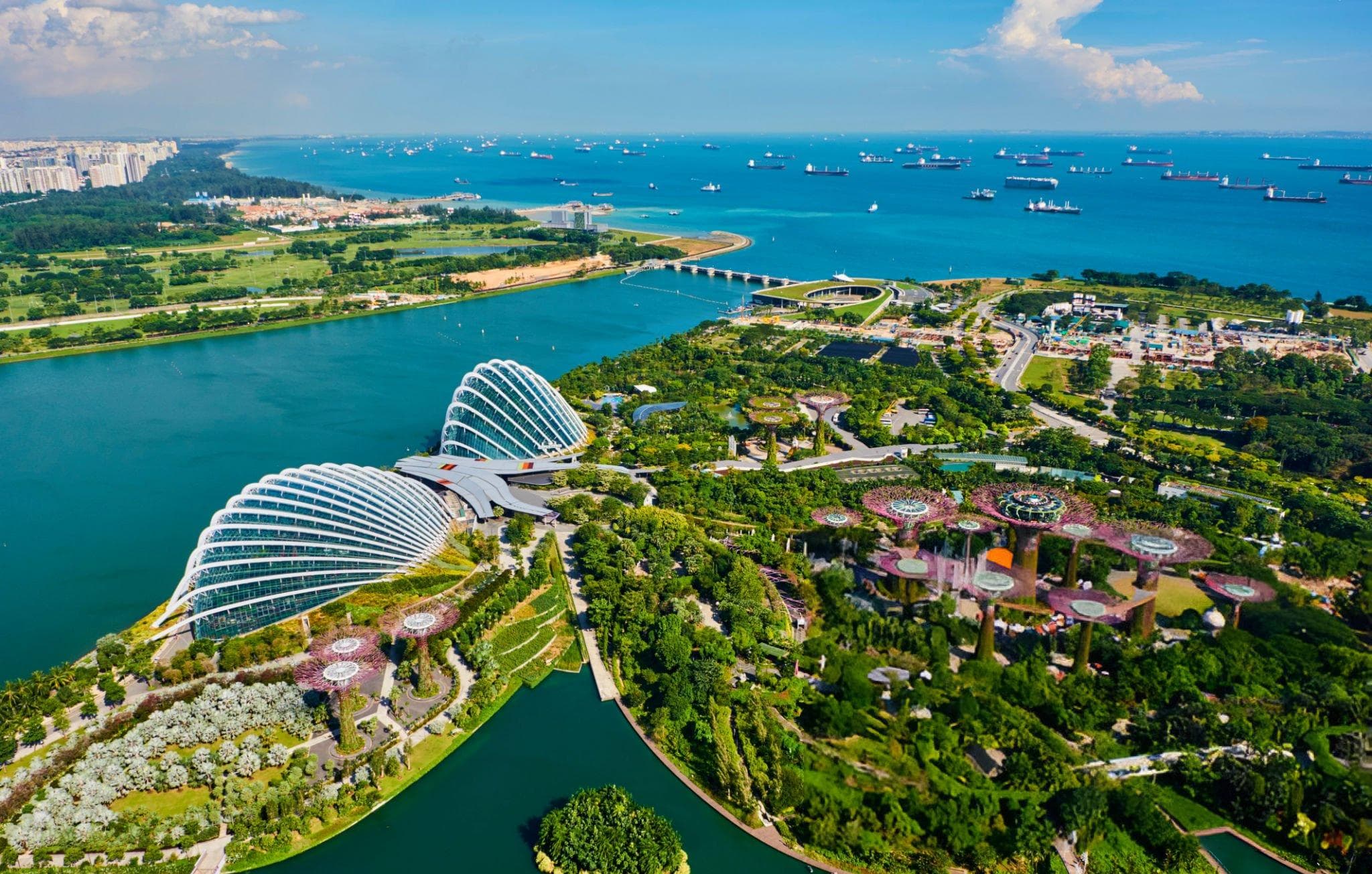 Escape to Singapore with The Disney Adventure Cruise