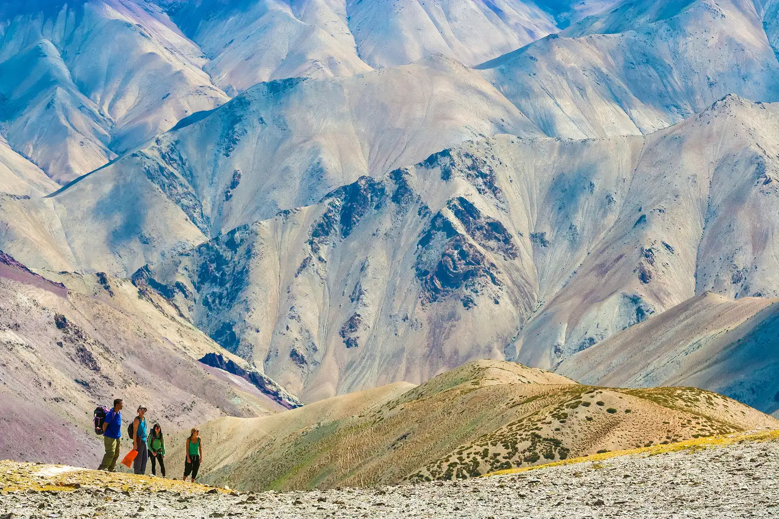 Markha Valley Trek, Ladakh