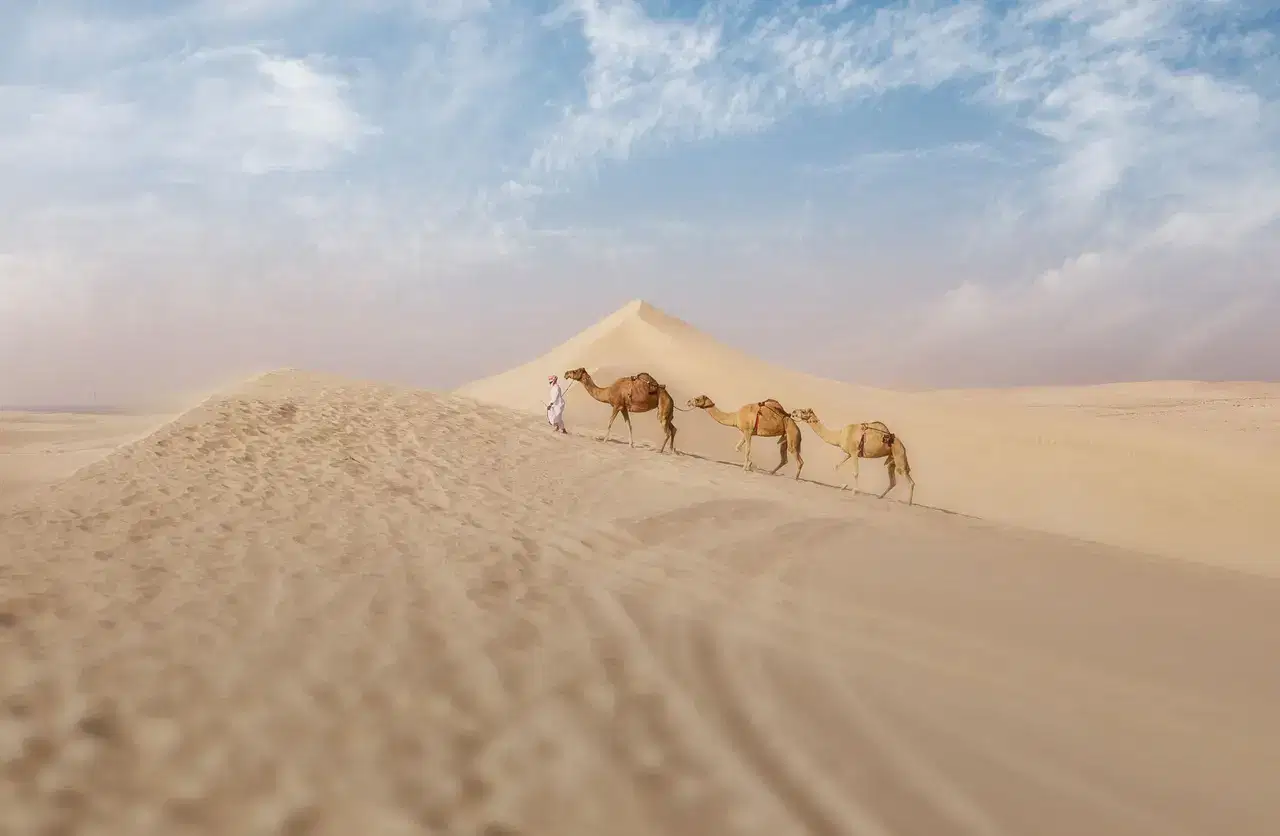 Inland Sea (Khor Al Adaid)