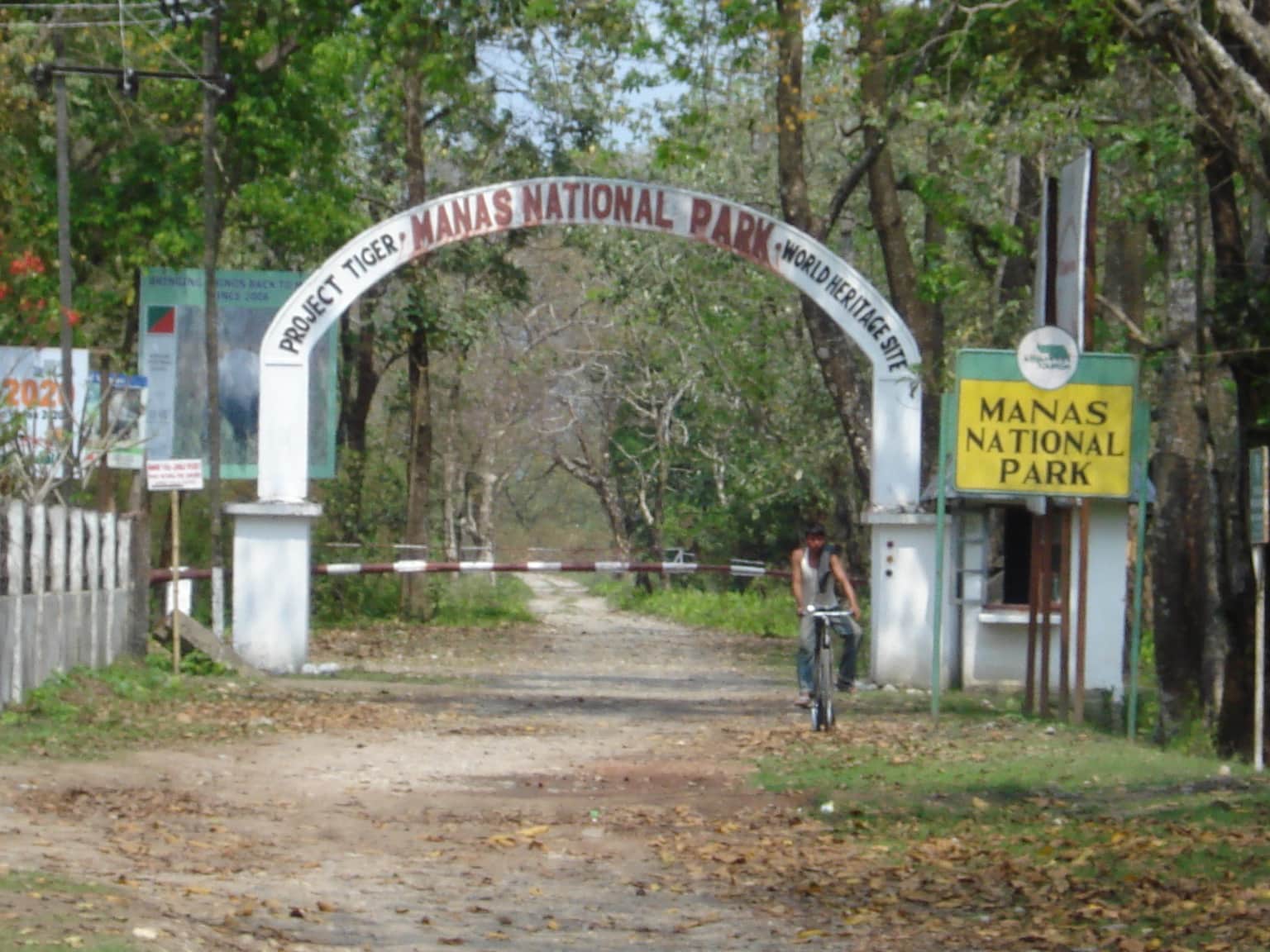 Spot wildlife at Manas National Park