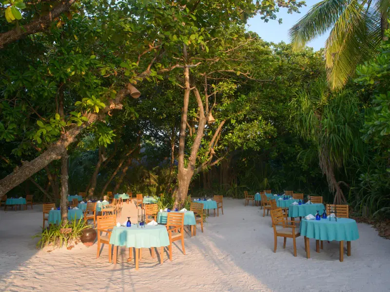 Coco Palm Dhuni Kolhu Maldives Image