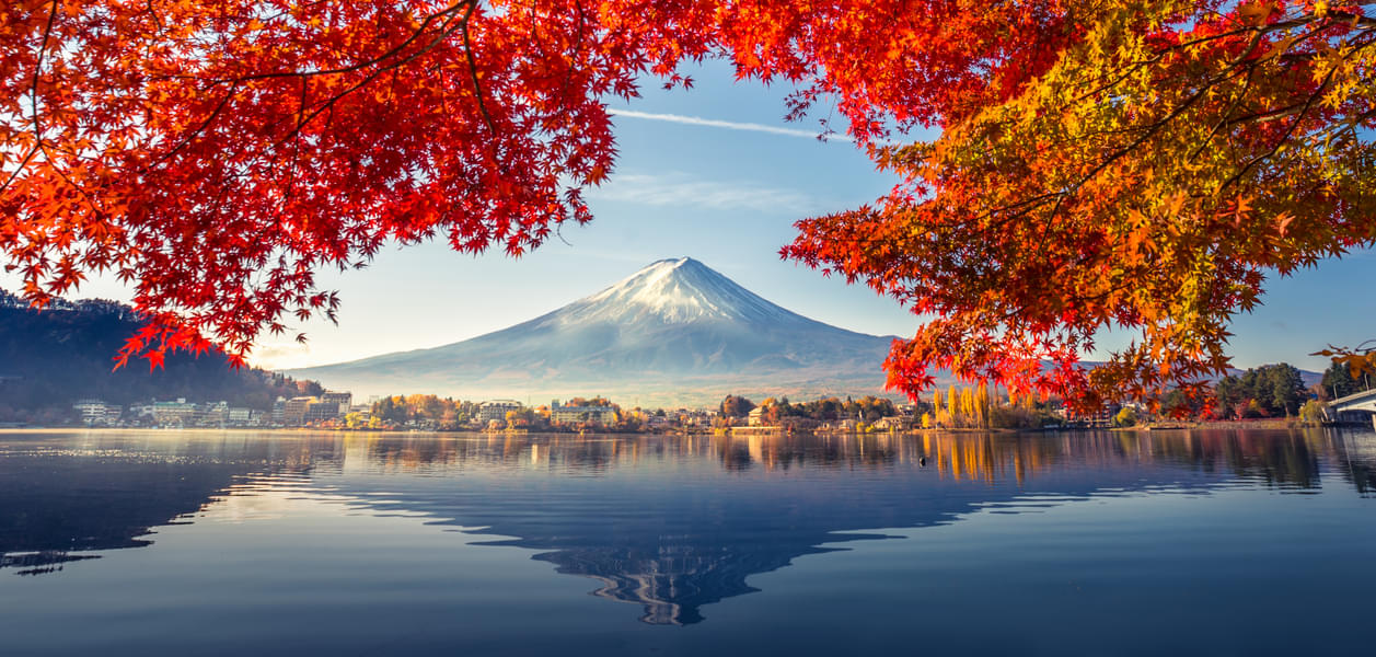 6 Days Japan Tour Package | Book @ 19% Off