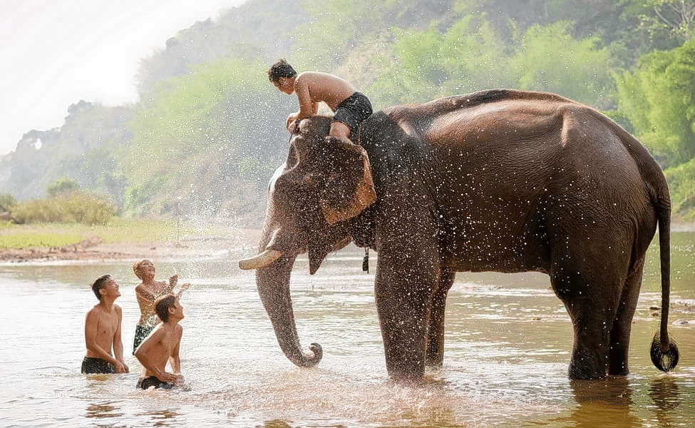Bathe An Elephant