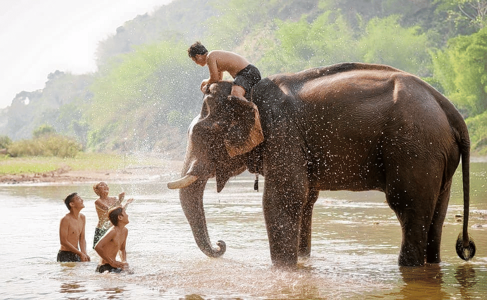 Bathe An Elephant