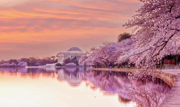tourism places in washington dc Tidal Basin