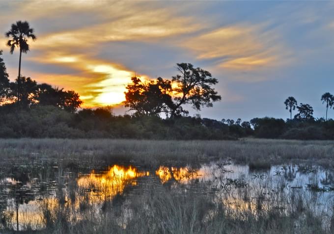 Botswana's Delta