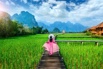 Wander through the green rice field in Vang Vieng