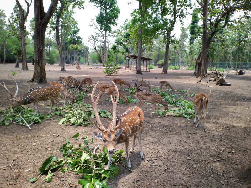 Coorg Tour Package for 2 Days Image