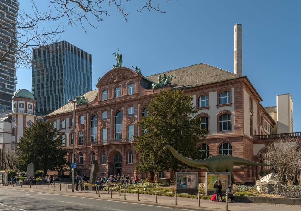 Senckenberg Natural History Museum