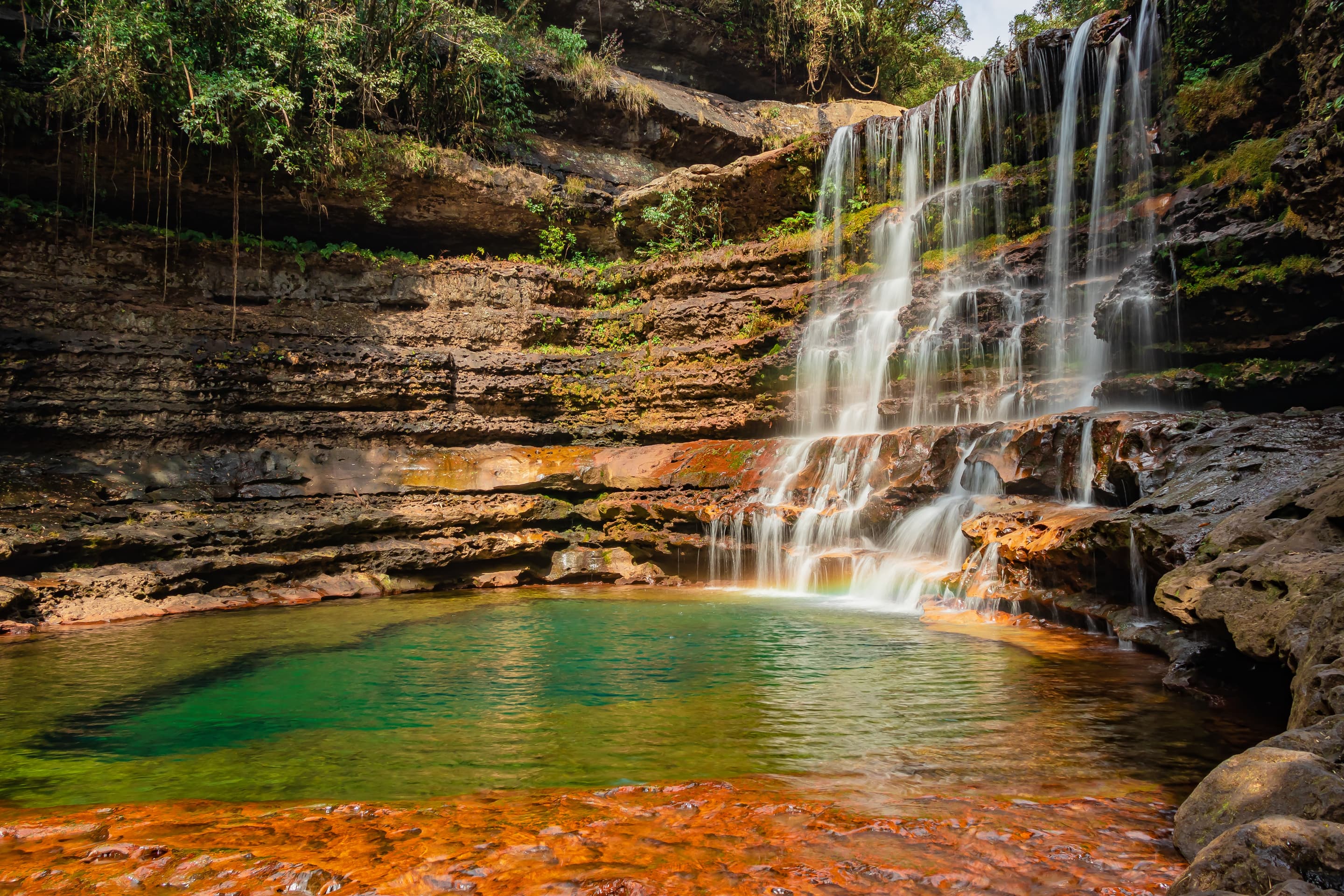 Activities to do in India