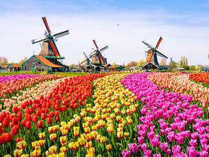Zaanse Schans, Volendam, and Marken Day Tour from Amsterdam