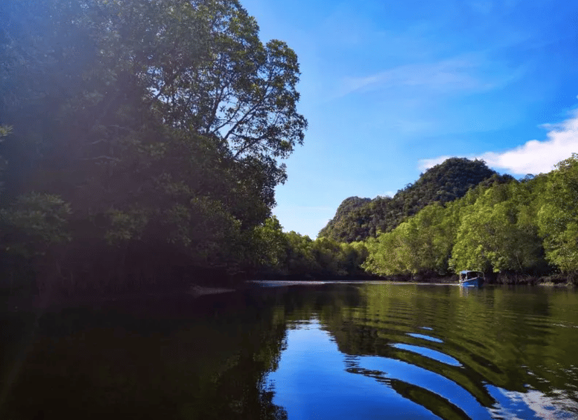 Sunset Mangrove Cruise Experience in Langkawi Image