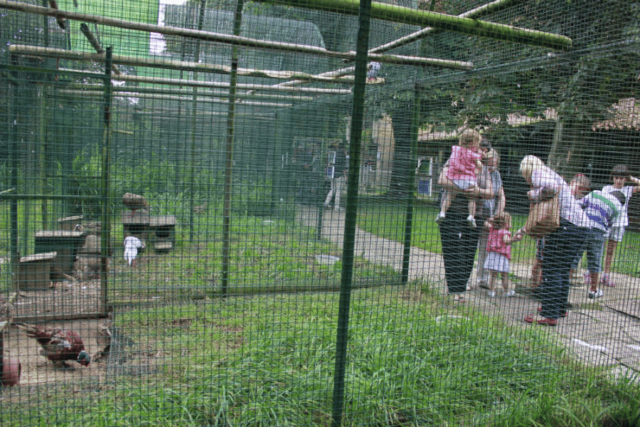 Zoo de Santillana