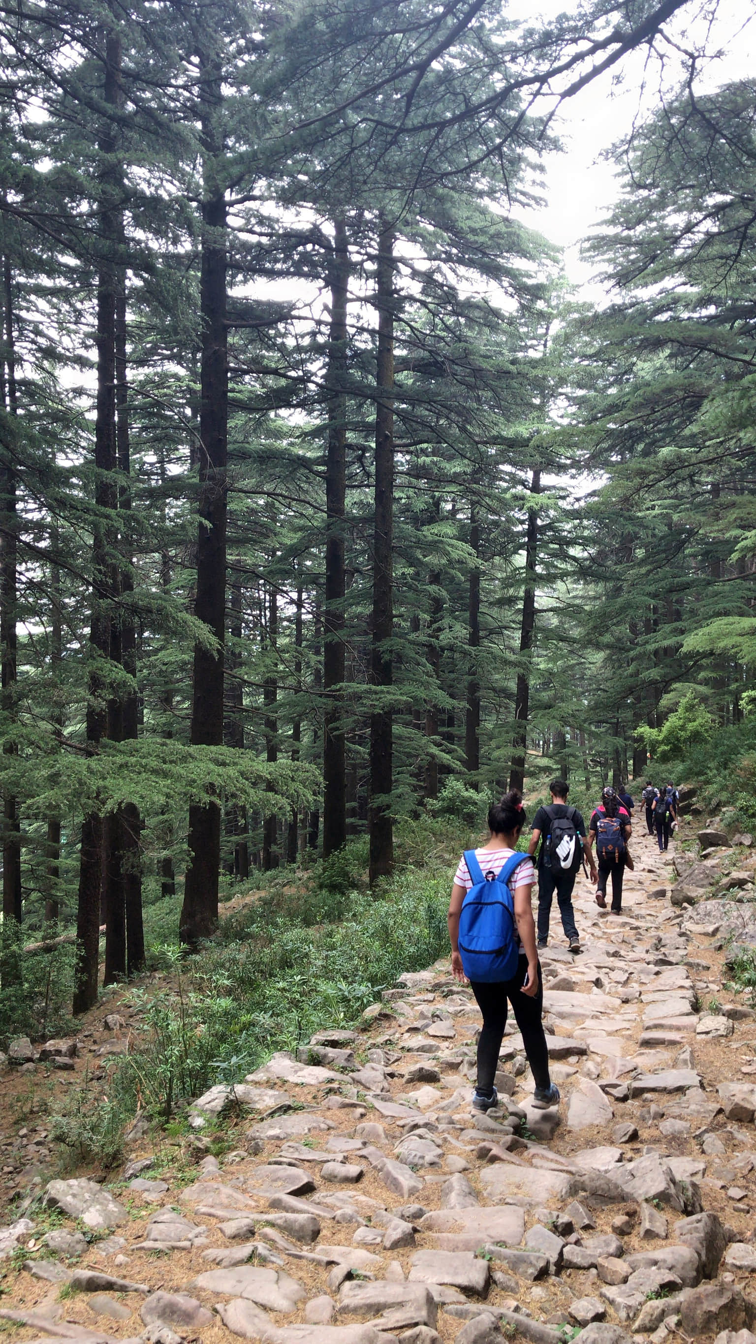 Photo from Ayush Agrawal's trip