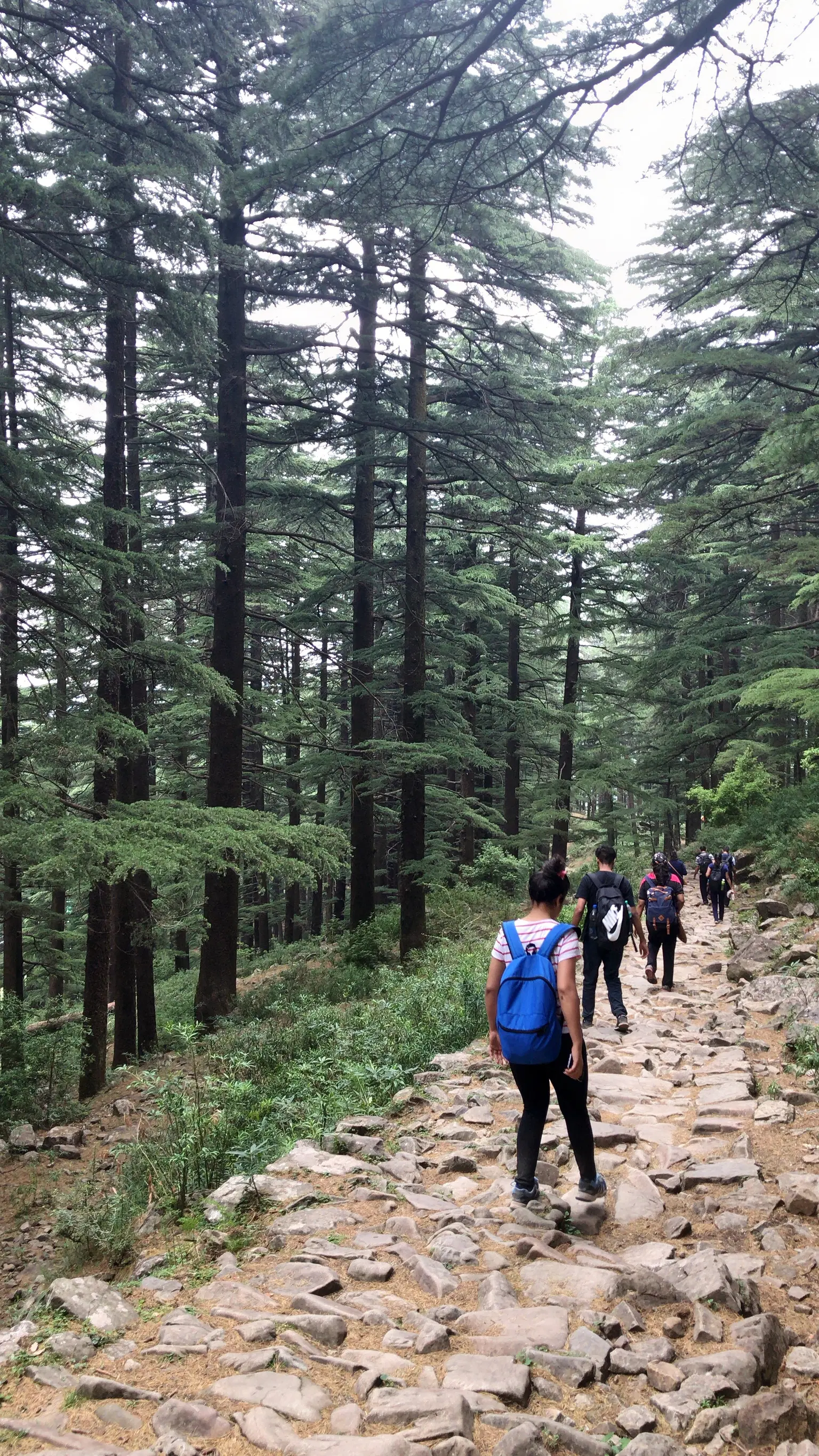 Photo from Ayush Agrawal's trip