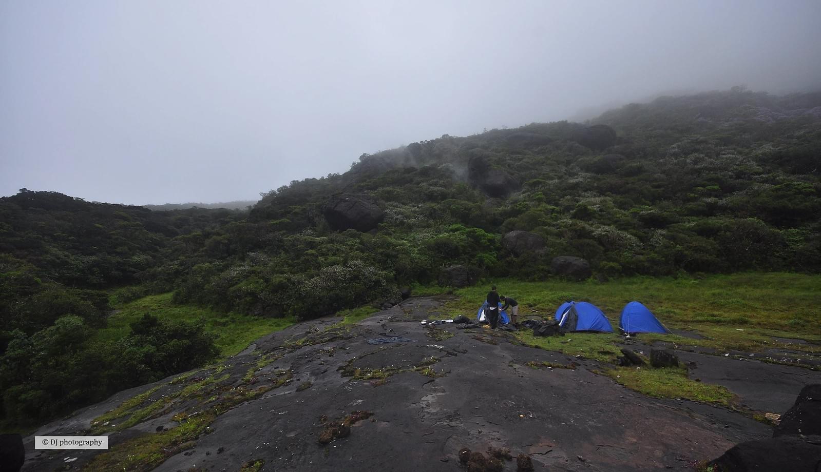 Trek to Vellarimala Peak