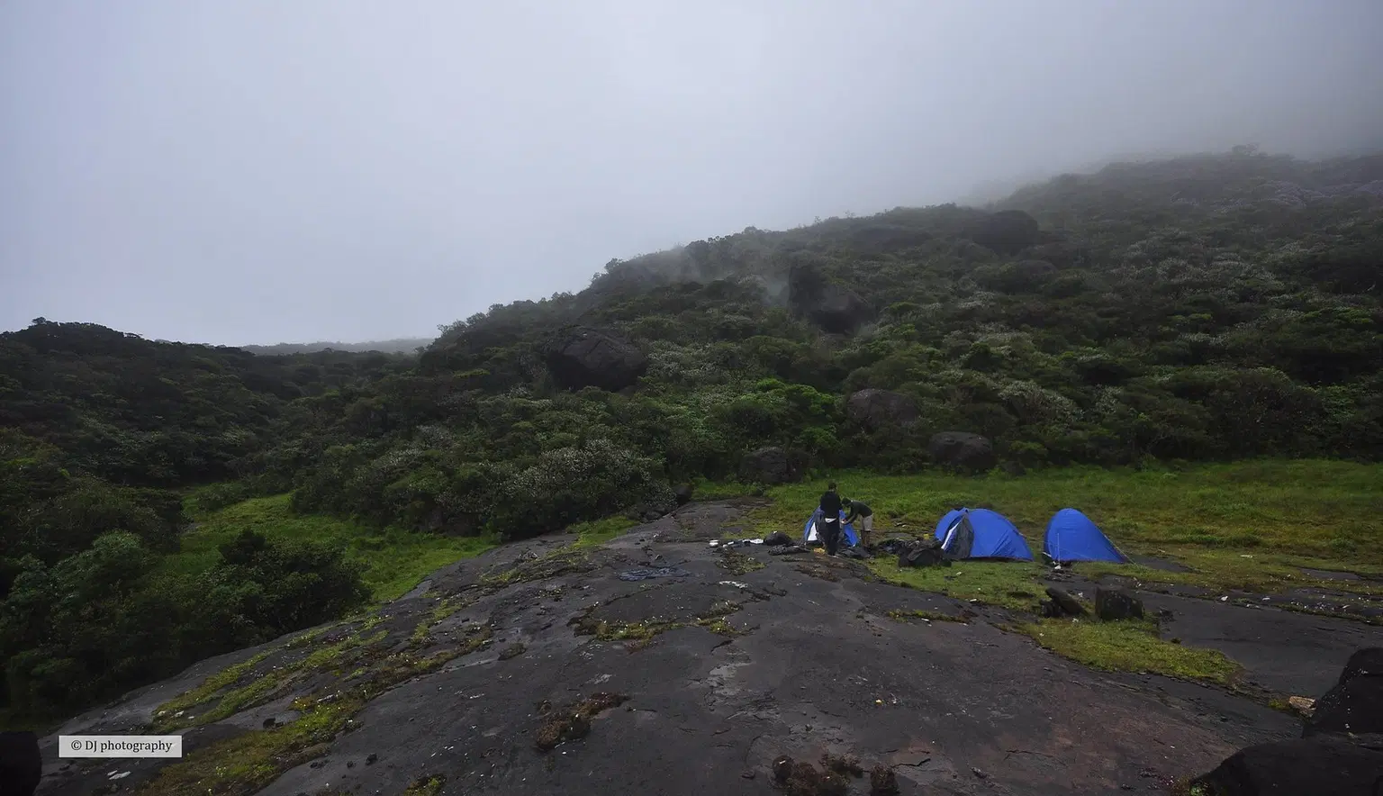 Trek to Vellarimala Peak