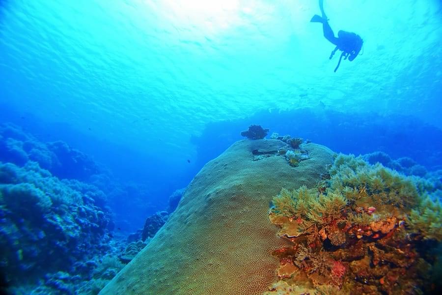 Scuba Diving In Andaman Image