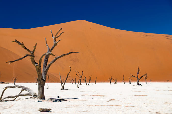Namib Naukluft Park