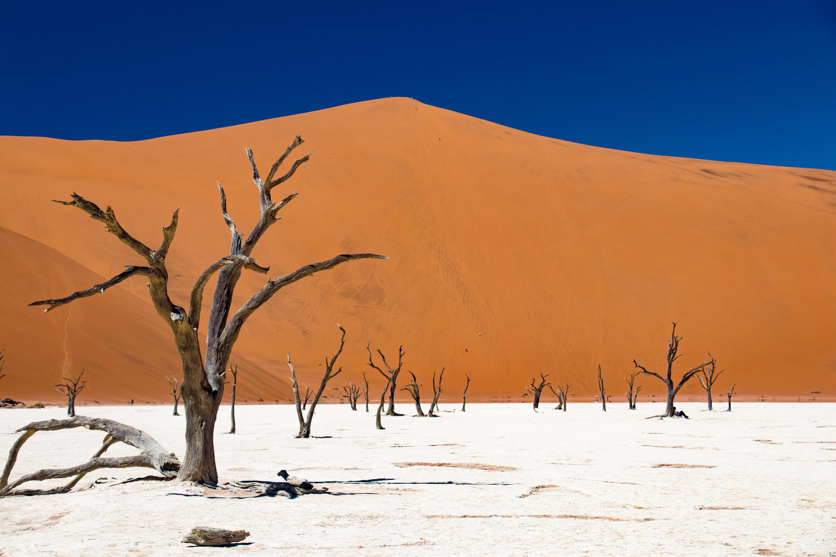 Namib Naukluft Park Overview
