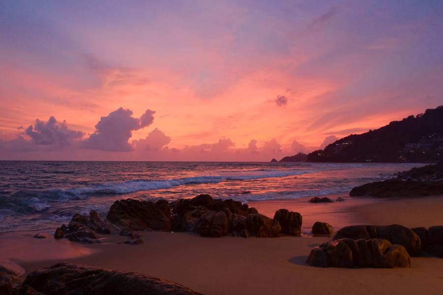 Glimpse of Phuket with FREE Tickets to Tiger Kingdom Image