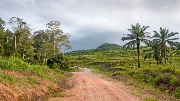 Tabin Wildlife Reserve