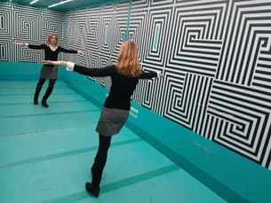 Pz11dragyv3fh8vcyx4xhuzz2pnu illusion4