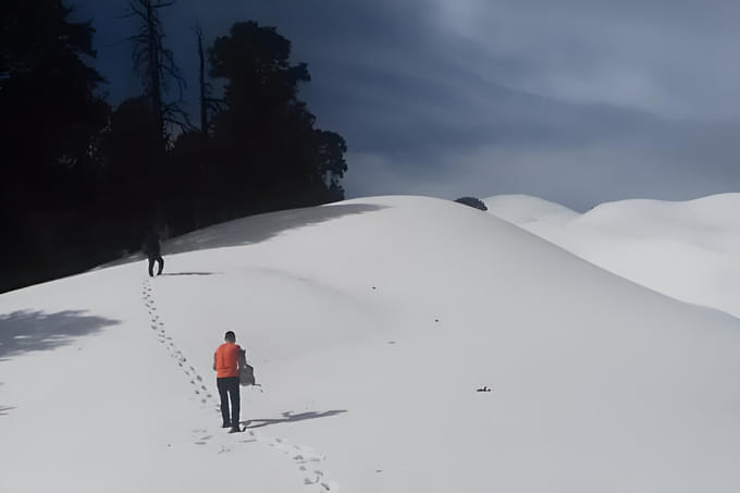 Trek across snow-covered trails, feeling the crunch of snow beneath your boots