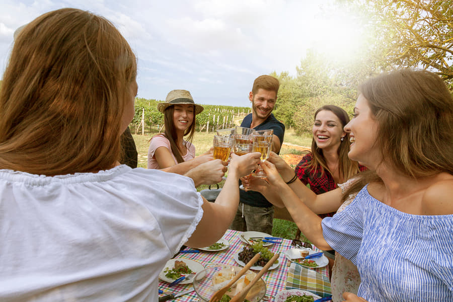 Paty Wine Village Tour with Tastings from Budapest  Image